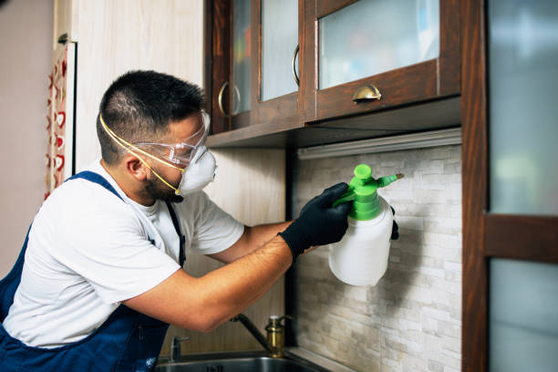 Best Pest Control for Businesses  in Browns Point, WA