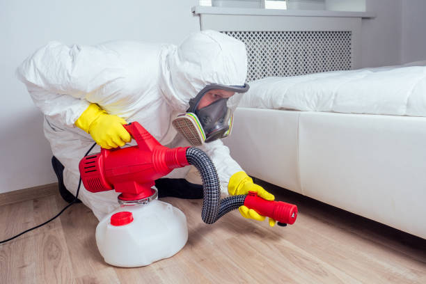 Best Termite Control Services  in Browns Point, WA