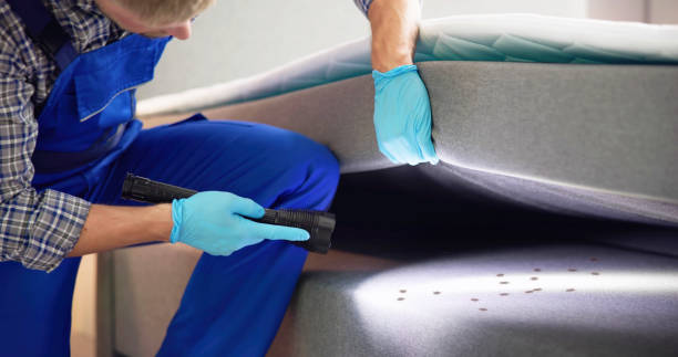 Wasp Removal Services in Browns Point, WA