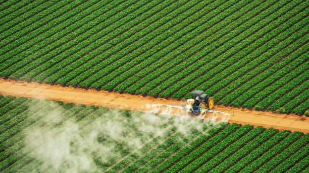 Best Commercial Pest Control Services  in Browns Point, WA