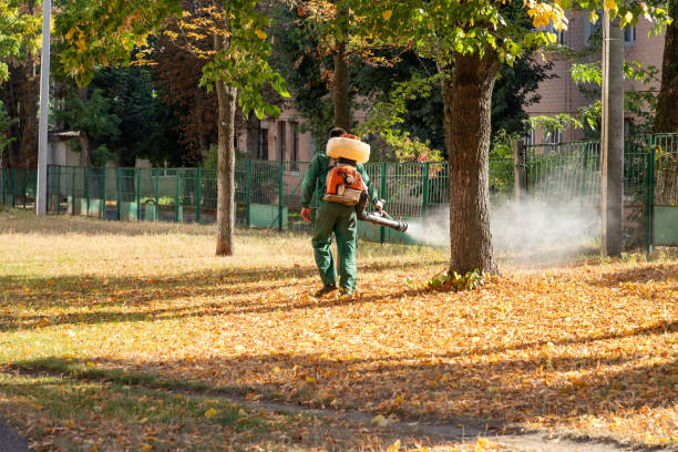 Best Pest Inspection Near Me  in Browns Point, WA