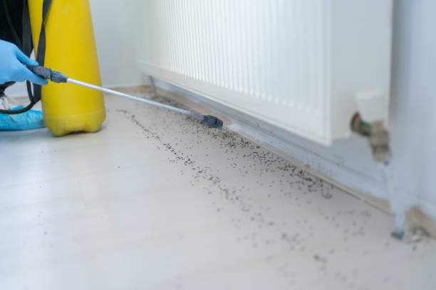 Trusted Browns Point, WA Pest Control Experts