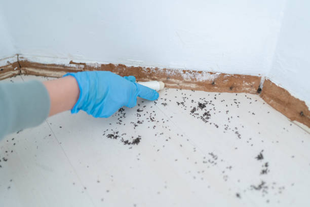 Best Pest Removal Services  in Browns Point, WA