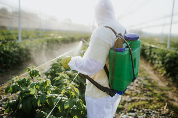 Best Wildlife Control Services  in Browns Point, WA